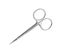 Pair of nail scissors on white