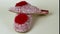 Pair of new women's slippers with a colorful red and white pattern and a scarlet pom-pon. Warm and comfortable