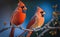 A pair of Northern cardinal perched on a branch, blurred blue sky background generative AI