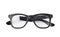 Pair of optical glasses isolated