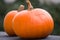 A pair of orange pumpkins