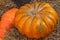 A pair of orange pumpkins large and ribbed lies on a pile of dry hay