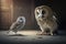 pair of owl and mouse, in dramatic standoff