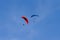 Pair of paragliders in flight. Two paragliders one red and one blue.