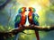 Pair of parrots