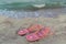 Pair of pink flip flops female shoes at sandy beach with sea waves view and shells