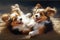 pair of playful pups, romping and rolling in the sun