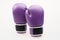 Pair of purple boxing gloves isolated on a white background