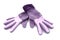 Pair of purple gloves