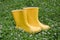 Pair rain rubber yellow boots on grass