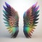 A pair of rainbow angle`s wings