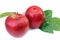 Pair red apples isolated