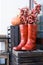 a pair of red boots on a wooden box on the background of a wall and pumpkins