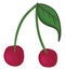 A pair of red cherries vector or color illustration