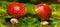 Pair of red flyagaric mushroom in forest