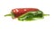 Pair of red and green peppers