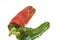 Pair of red and green peppers
