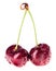 Pair of red ripe cherry fruit with water drops