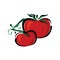 Pair red ripe tomato vector illustration. Isolated white background in EPS10