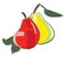 A pair of red and yellow pears vector or color illustration