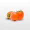 Pair of ripe persimmon fruits isolated on transparent background. Two whole persimmons. Quality realistic vector, 3d illustration