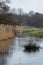 Pair of romantic Mute Swan, Cygnus olor, together on winding river in rural England, UK