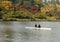 Pair Rowing In Autumn