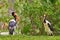 Pair Of Saddle-Billed Storks