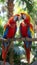 Pair of scarlet macaws perched on branch, blurred background with copy space, wildlife photography