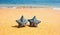 Pair of sea stars at the sand beach