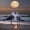 A pair of seagulls sharing a midnight kiss under the full moon on a beach3