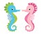 Pair of seahorses, scandinavian style hippocampus, hand drawn, pink and turquoise, boy and girl, love