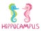 Pair of seahorses, scandinavian style hippocampus, hand drawn, pink and turquoise, boy and girl, love and family