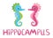 Pair of seahorses, scandinavian style hippocampus, hand drawn, pink and turquoise, boy and girl, love and family