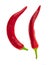 Pair of sharp red peppers on a white background base design ingredient sauce vertical pods