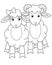 A pair of sheep, a sheep and a ram - a vector linear picture for coloring. Outline. A couple of sheep - a boy and a girl, characte