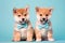 Pair of Shiba Inu dog puppies with bowties on pastel blue background