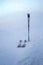 Pair of skis and sticks stuck in snow in the winter storm