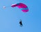 Pair of skydivers on a blue sky background. Tandem parachuting. Canopy in the sky