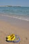 Pair of slippers on sea beach, vertical