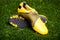 Pair of soccer shoes on grass field