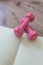 Pair of soft pink women`s hand weights on a wood grain background with an open blank journal, copy space, muted colors