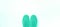 Pair of sport shoes on mint color background. Top view, copy space. Trendy green and turquoise color. Fitness, running and sport