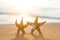 Pair of starfish on Sandy beach background