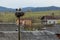 Pair of storks play in their nest above the pole