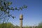 Pair of storks in the spring is going to build a nest on the water tower