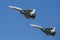 A pair of SU-30 aircrafts perform demonstration flights in the sky over a military training ground