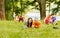 Pair successful students with a textbook in Park on Sunny da