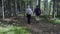 A pair of tourists are walking through the forest with backpacks. Side view.
