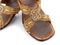 Pair of traditional Indian sandals